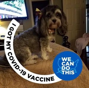 Meet your Posher, Kay